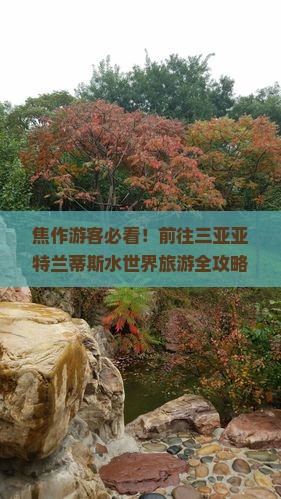 焦作游客必看！前往三亚亚特兰蒂斯水世界旅游全攻略，门票购买+游玩 tips 总结