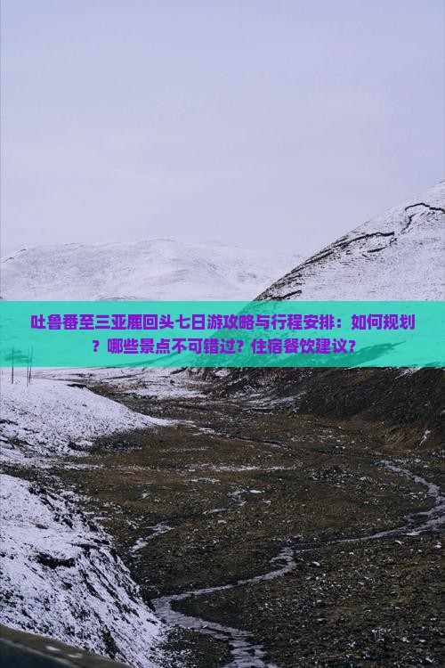 吐鲁番至三亚鹿回头七日游攻略与行程安排：如何规划？哪些景点不可错过？住宿餐饮建议？