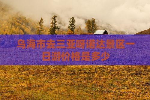 乌海市去三亚呀诺达景区一日游价格是多少