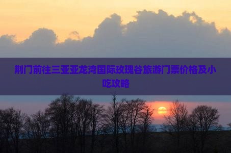 荆门前往三亚亚龙湾国际玫瑰谷旅游门票价格及小吃攻略