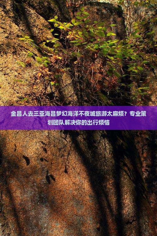 金昌人去三亚海昌梦幻海洋不夜城旅游太麻烦？专业策划团队解决你的出行烦恼