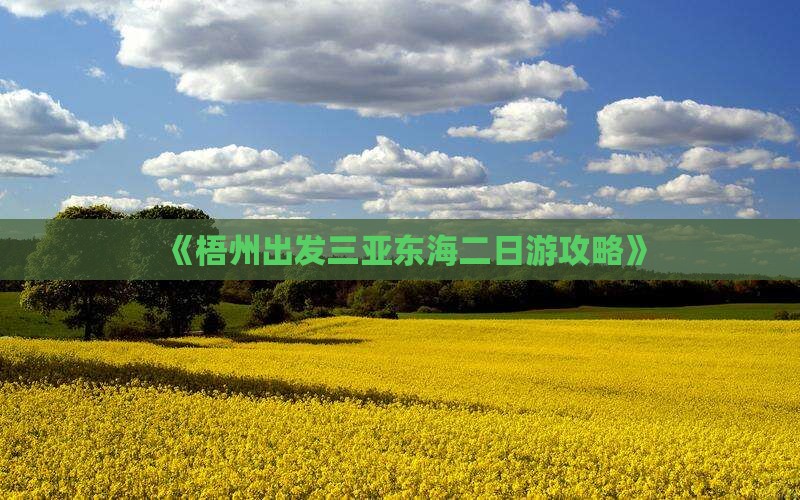 《梧州出发三亚东海二日游攻略》