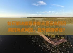 如何解决濮阳游客三亚西岛四日游的痛点问题，提升旅游体验？