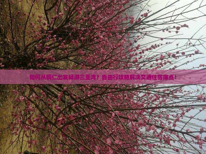如何从铜仁出发畅游三亚湾？自由行攻略解决交通住宿痛点！