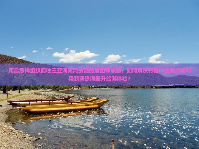 南昌怎样组织前往三亚海棠湾的高品质团体旅游，如何解决行程中的痛点和利用新词热词提升旅游体验？