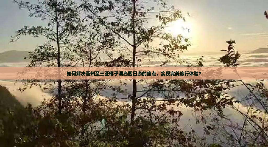 如何解决衢州至三亚椰子洲岛四日游的痛点，实现完美旅行体验？