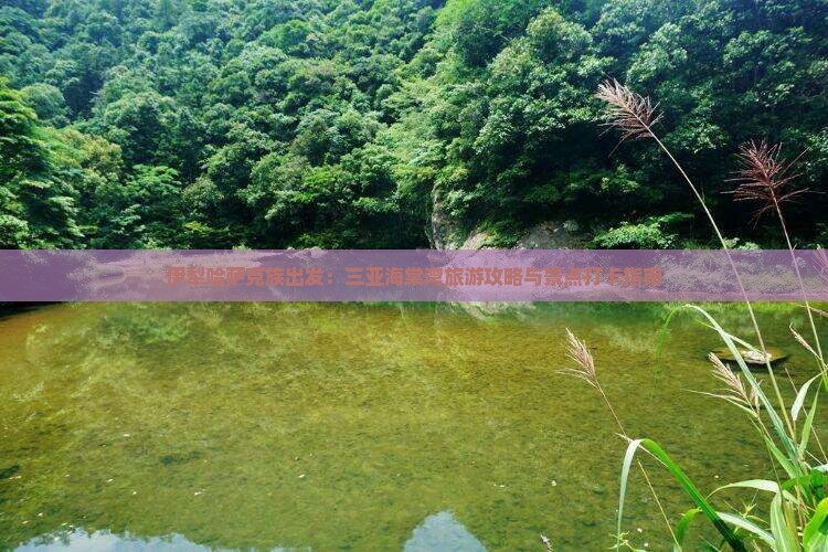 伊犁哈萨克族出发：三亚海棠湾旅游攻略与景点打卡指南