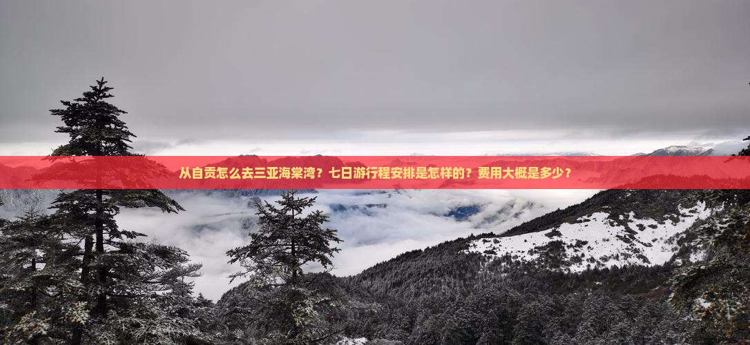 从自贡怎么去三亚海棠湾？七日游行程安排是怎样的？费用大概是多少？
