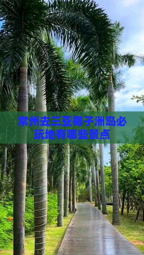 常州去三亚椰子洲岛必玩地有哪些景点