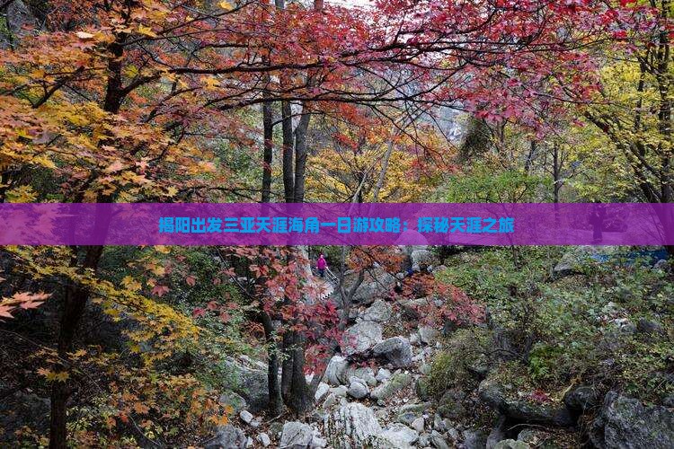 揭阳出发三亚天涯海角一日游攻略：探秘天涯之旅