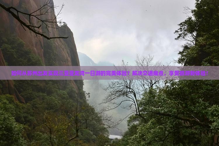 如何从苏州出发实现三亚亚龙湾一日游的完美体验？解决交通痛点，享受旅游新体验！
