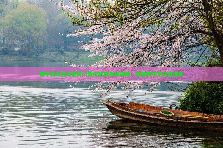 南平去三亚三亚湾门票价格及乘车指南，福建南平至三亚距离