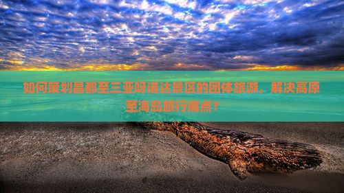如何策划昌都至三亚呀诺达景区的团体旅游，解决高原至海岛旅行痛点？