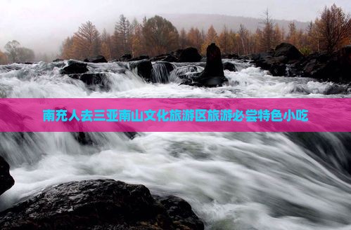 南充人去三亚南山文化旅游区旅游必尝特色小吃