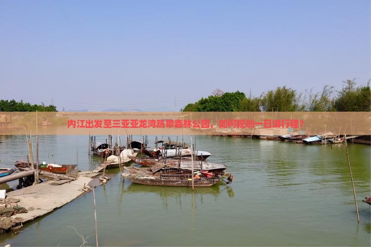内江出发至三亚亚龙湾热带森林公园，如何规划一日游行程？