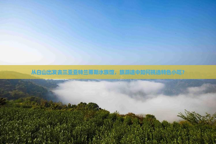 从白山出发去三亚亚特兰蒂斯水族馆，旅游途中如何挑选特色小吃？