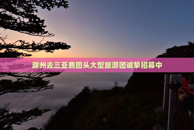 滁州去三亚鹿回头大型旅游团诚挚招募中