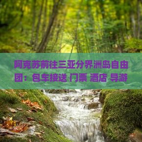 阿克苏前往三亚分界洲岛自由团：包车接送+门票+酒店+导游服务
