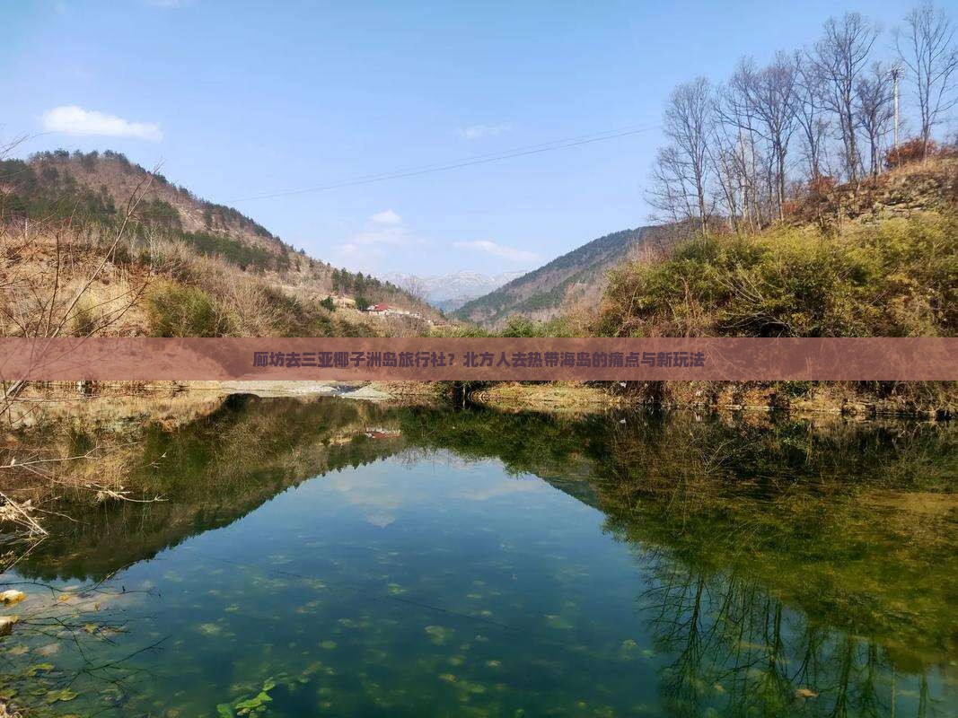 廊坊去三亚椰子洲岛旅行社？北方人去热带海岛的痛点与新玩法