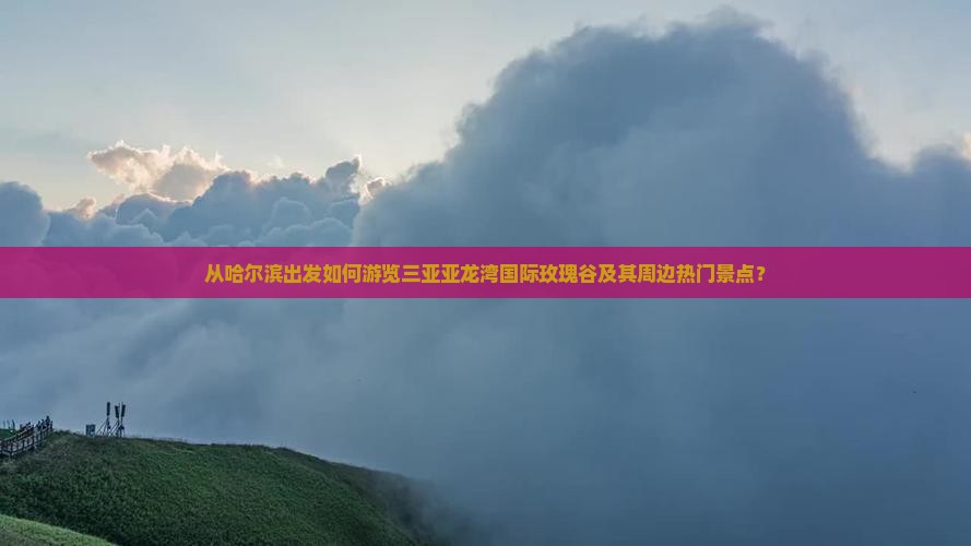 从哈尔滨出发如何游览三亚亚龙湾国际玫瑰谷及其周边热门景点？