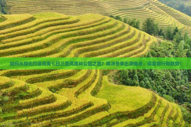 如何从绥化打造完美七日三亚凤凰岭公园之旅？解决冬季出游痛点，探索旅行新趋势！