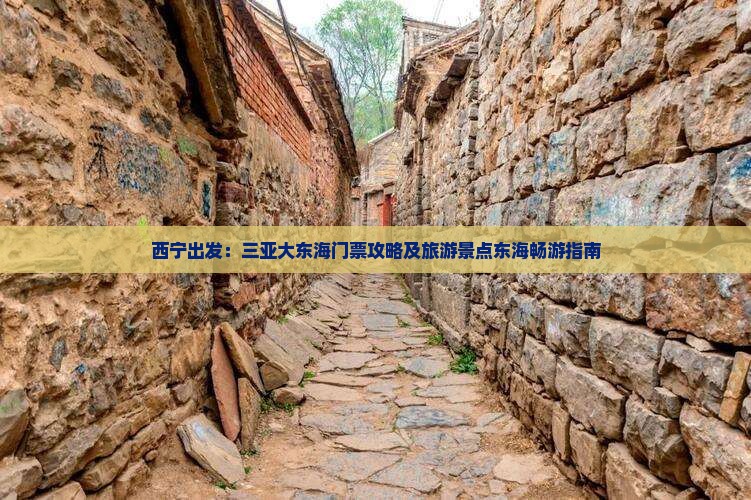 西宁出发：三亚大东海门票攻略及旅游景点东海畅游指南