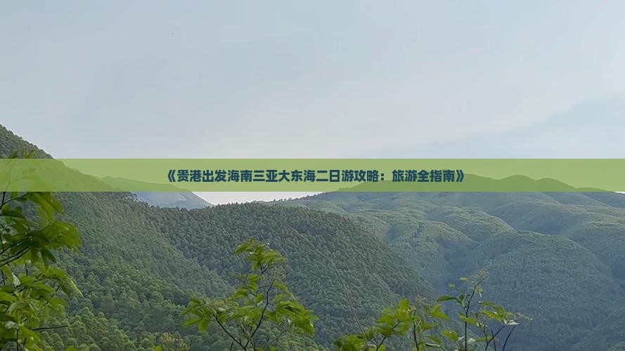 《贵港出发海南三亚大东海二日游攻略：旅游全指南》