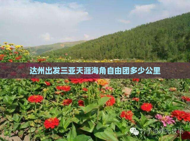 达州出发三亚天涯海角自由团多少公里