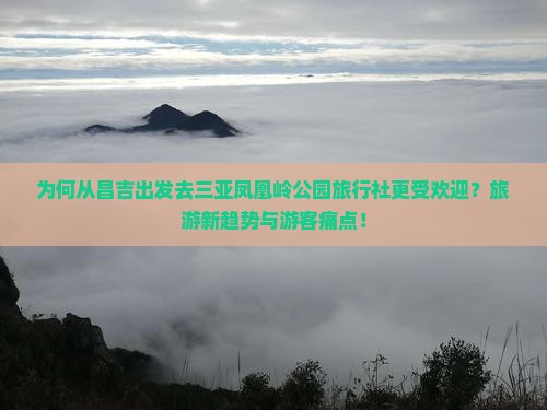 为何从昌吉出发去三亚凤凰岭公园旅行社更受欢迎？旅游新趋势与游客痛点！