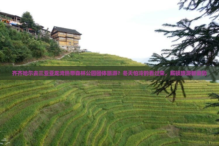 齐齐哈尔去三亚亚龙湾热带森林公园团体旅游？冬天怕冷的看过来，解锁旅游新姿势