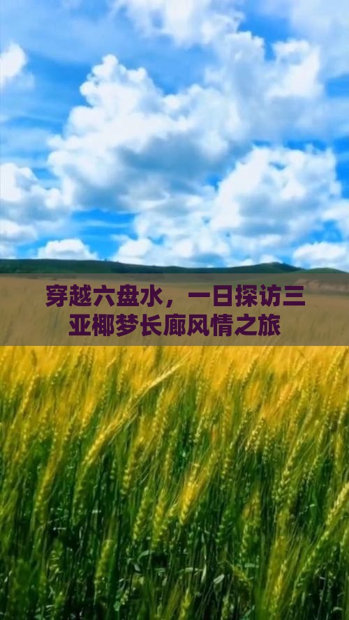 穿越六盘水，一日探访三亚椰梦长廊风情之旅