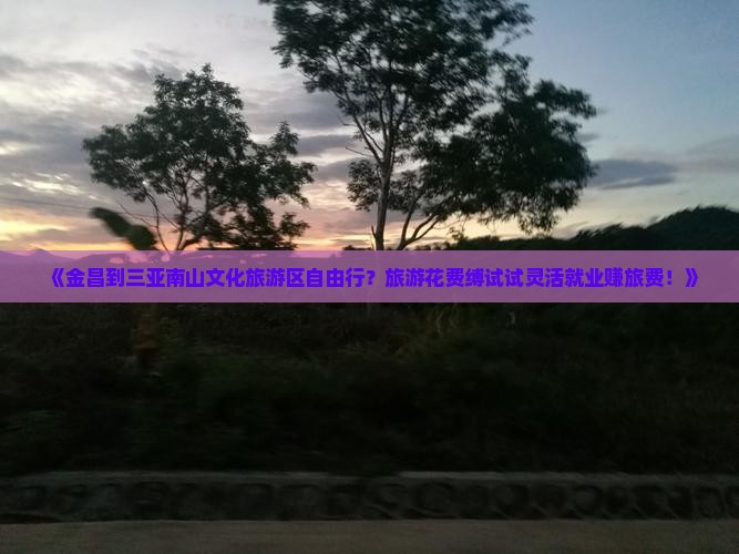 《金昌到三亚南山文化旅游区自由行？旅游花费缚试试灵活就业赚旅费！》