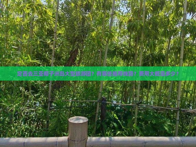 定西去三亚椰子洲岛大型旅游团？有哪些推荐线路？费用大概是多少？