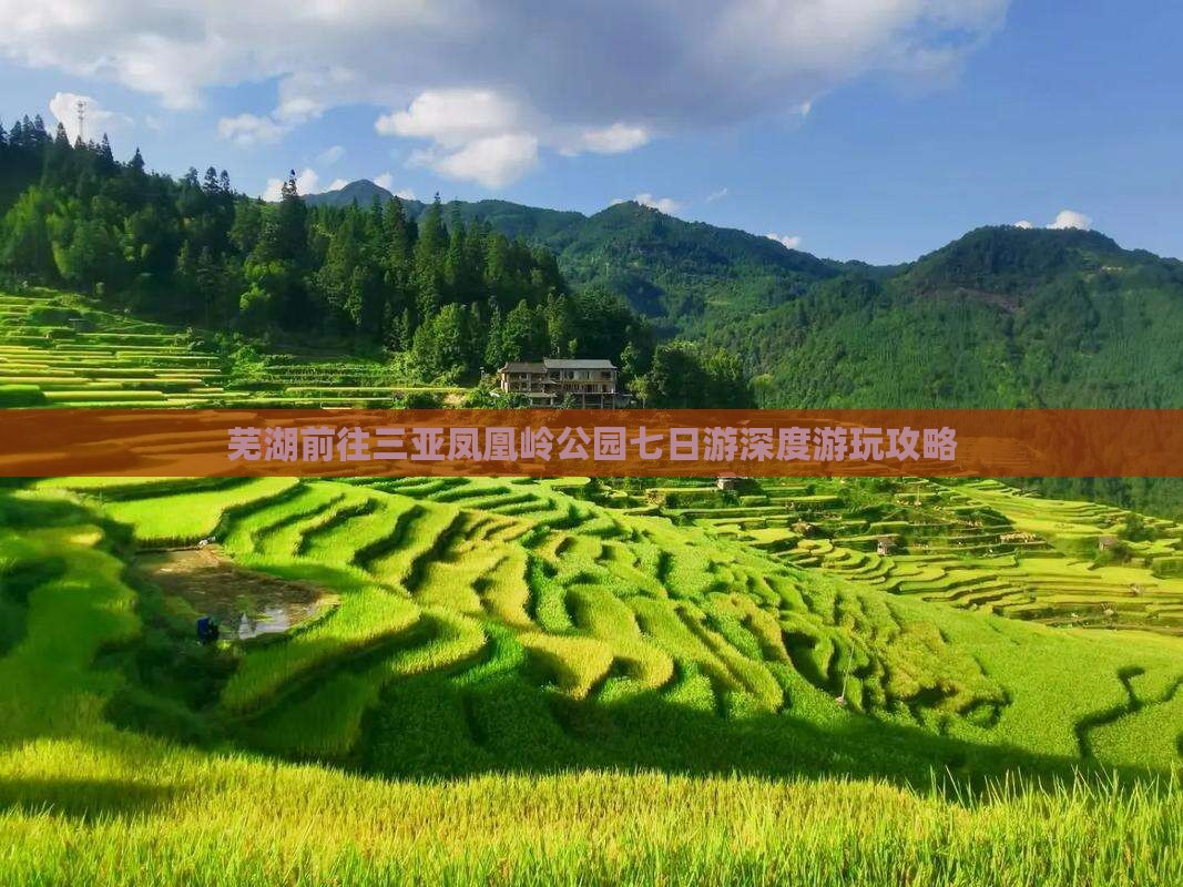 芜湖前往三亚凤凰岭公园七日游深度游玩攻略