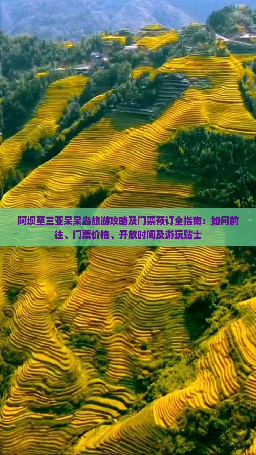 阿坝至三亚呆呆岛旅游攻略及门票预订全指南：如何前往、门票价格、开放时间及游玩贴士
