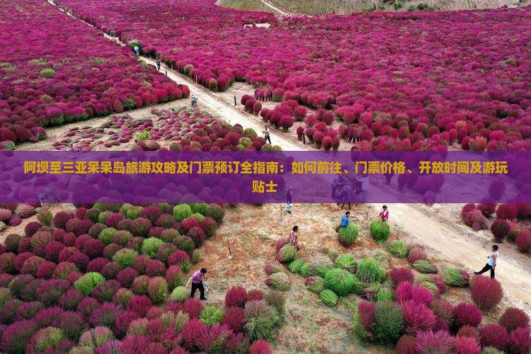 阿坝至三亚呆呆岛旅游攻略及门票预订全指南：如何前往、门票价格、开放时间及游玩贴士
