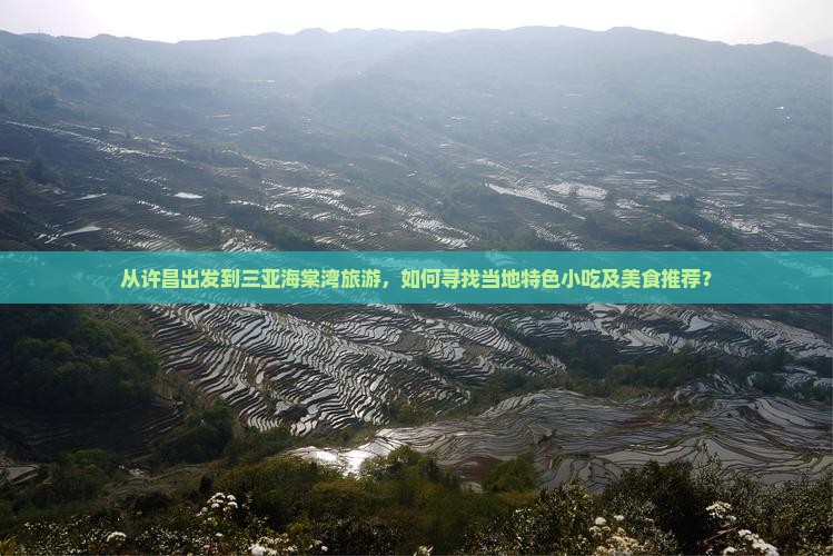 从许昌出发到三亚海棠湾旅游，如何寻找当地特色小吃及美食推荐？