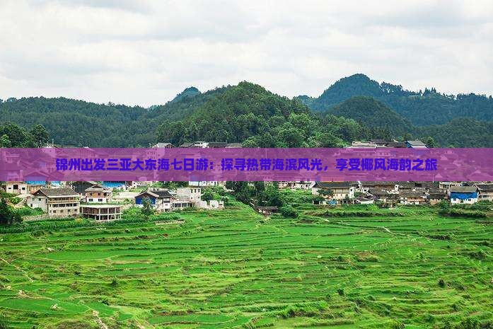 锦州出发三亚大东海七日游：探寻热带海滨风光，享受椰风海韵之旅