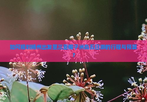如何规划扬州出发至三亚椰子洲岛五日游的行程与预算？