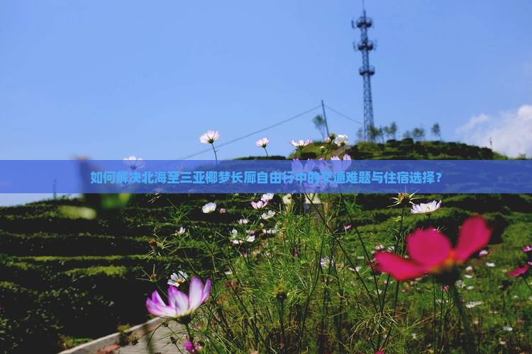 如何解决北海至三亚椰梦长廊自由行中的交通难题与住宿选择？