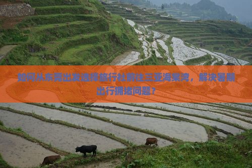 如何从东莞出发选择旅行社前往三亚海棠湾，解决暑期出行拥堵问题？