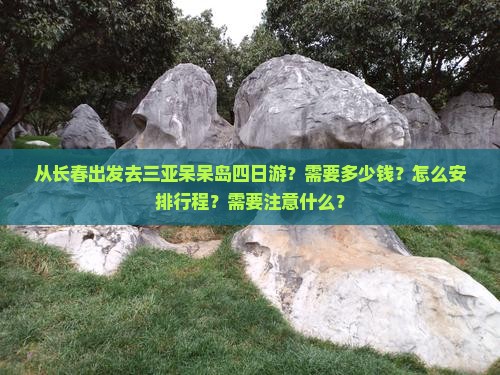 从长春出发去三亚呆呆岛四日游？需要多少钱？怎么安排行程？需要注意什么？