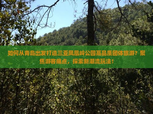 如何从青岛出发打造三亚凤凰岭公园高品质团体旅游？聚焦游客痛点，探索新潮流玩法！