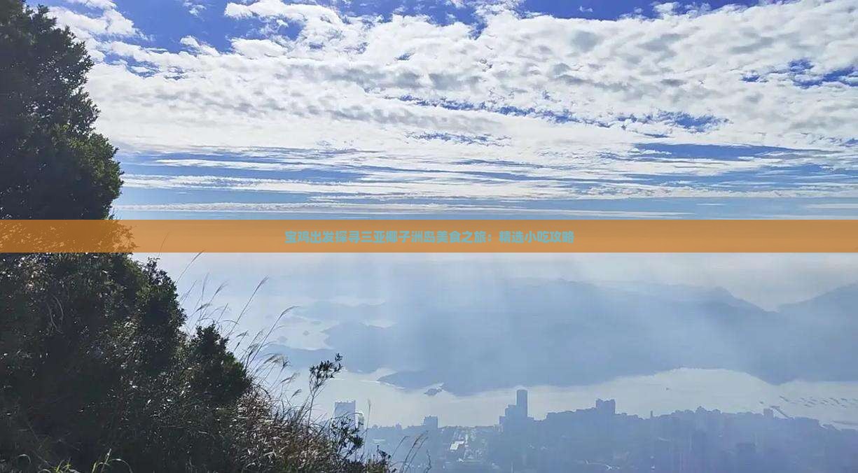 宝鸡出发探寻三亚椰子洲岛美食之旅：精选小吃攻略