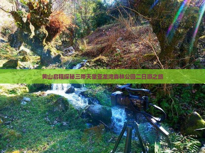 黄山启程探秘三带天堂亚龙湾森林公园二日游之旅