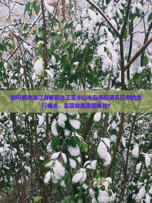 如何解决潜江游客前往三亚半山半岛帆船港五日游的出行痛点，实现完美度假体验？