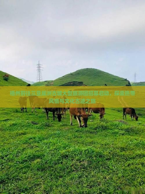 梧州前往三亚崖洲古城大型旅游团招募启动，探索热带风情与文化古迹之旅