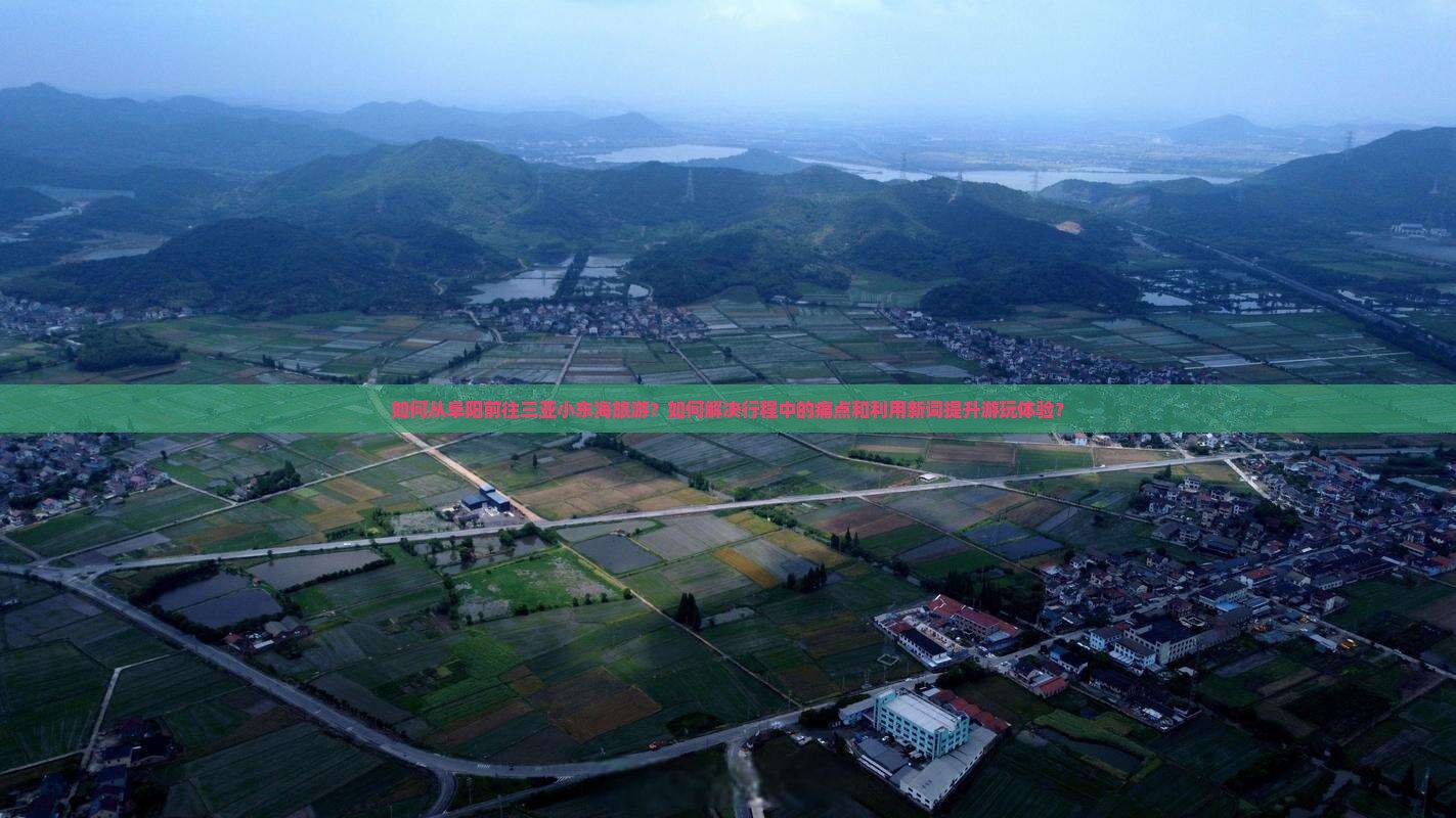 如何从阜阳前往三亚小东海旅游？如何解决行程中的痛点和利用新词提升游玩体验？