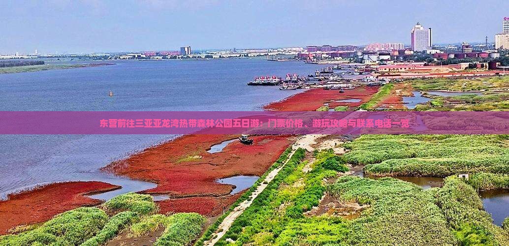 东营前往三亚亚龙湾热带森林公园五日游：门票价格、游玩攻略与联系电话一览