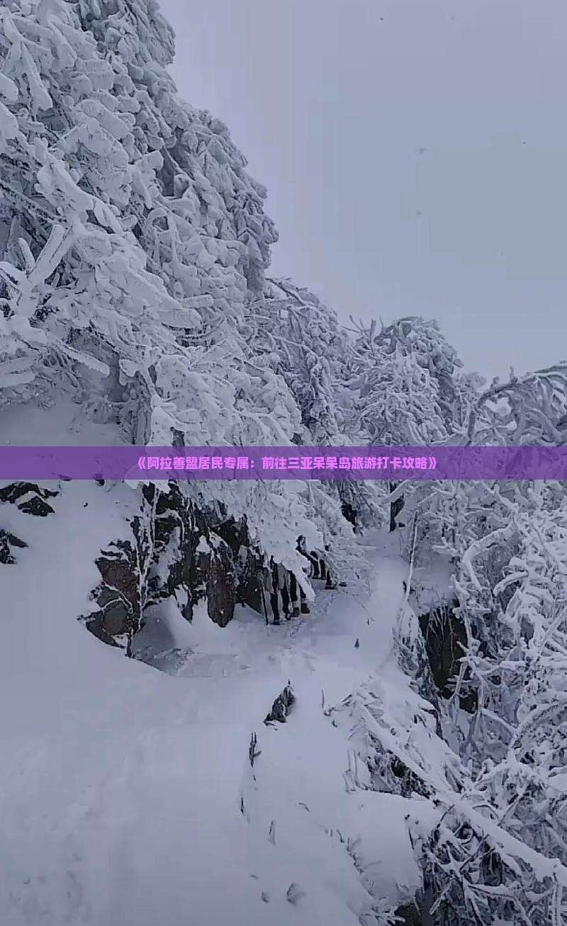 《阿拉善盟居民专属：前往三亚呆呆岛旅游打卡攻略》